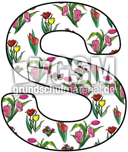 Tulpen-Buchstabe-S.jpg